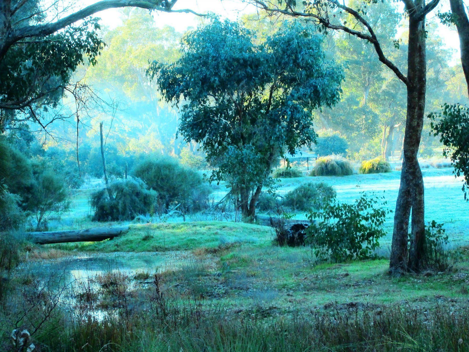 Hidden Grove Retreat Boyup Brook Exterior foto